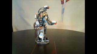 Alpha Rex at JavaOne 2