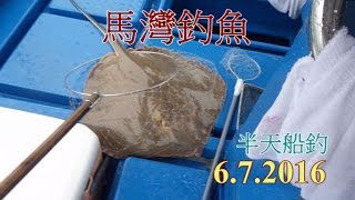 6.7.2016馬灣釣魚半天船釣