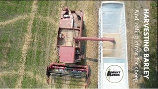 Harvesting Barley