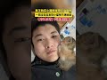 男子购买小猫咪发现它会贴贴，一周过去后发现小猫咪只想贴贴，看似是烦恼，实则是炫耀