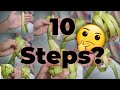 10 STEPS TO MAKE PUSO!!!  (How to make hanging rice with just 10 easy steps!!!)