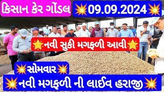 નવી મગફળીના ભાવ બજાર | આજના મગફળીના બજાર ભાવ | Gondal marketing yard 09.09.2024 Aaj Na bajar bhav