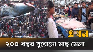 হবিগঞ্জের মাছ মেলায় উঠলো ৬০ কেজি ওজনের বাগাইড় মাছ | Hobiganj News | Fish Fair | Ekhon TV