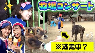 牧場でコンサート⁉︎🦙どうぶつさんたちに会ってきた🐴【那須高原りんどう湖ファミリー牧場】