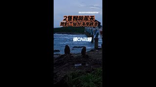 無視#颱風！2隻猴闖三仙台海岸觀浪 #shorts