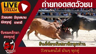 🔴LIVE🔴สนามกีฬาชนโคนครตรัง  10 ธันวาคม 67  #ถ่ายทอดสดวัวชน #วัวชนวันนี้ #วัวชน #วัว