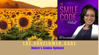 The Sunflower Code - Nature's Golden Optimist   HD 1080p