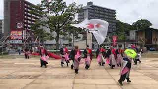 神～JiN～  黒崎よさこい祭り2019