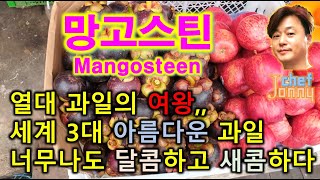 (캄보디아) 망고스틴 Mangosteen,,, 열대 과일의 여왕,, 현지인들도 망고스틴을 너무나 좋아한다,,