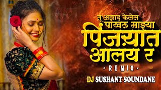 उड्या मारु किती अन नाचू किती माझ्या मनासारखं झालंय रAzad Kelayla Pakhru Pinjryat|DJ Sushant Soundane