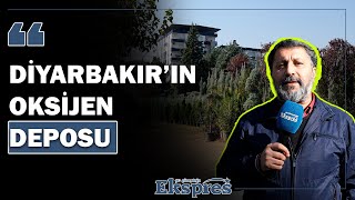 Diyarbakır’ın oksijen deposu | Ekspres Haber