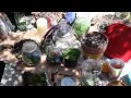 modcloth how to terrariums tutorial