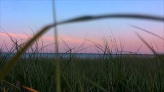 Module 4 Video Assignment