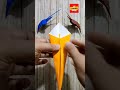 udang dari kertas origami #short #shorts #shortvideo #diy #craft #creative #viral