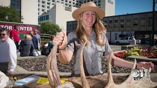 Travel Tuesday: The hidden gems of Anchorage