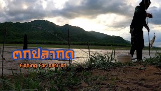 ตกปลากด น้ำแดง #fishing for catfish