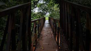 पावसाळ्यातील आमचं सुंदर गाव देवीहसोळ kokan in rainy season #kokan #rainyseason #nature