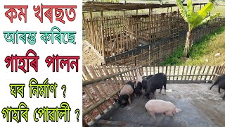 কম মূলধনেৰে আৰম্ভ কৰিছে গাহৰি পালন/আপোনাৰ বাজেট কম যদি এনেকৈ আৰম্ভ কৰক/7 টা গাহৰি/Piggery in Assam