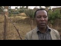 saving rwanda’s wetlands eco at africa