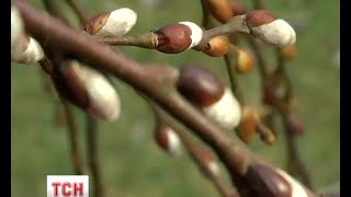 В Україну нарешті йде відчутне потепління