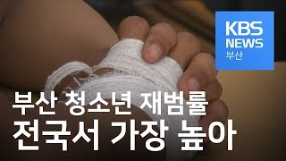 부산 청소년 재범률 45.6% 전국서 가장 높아