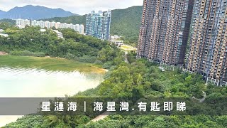 烏溪沙星漣海2A座高層C室｜四房一套 1,152尺｜有匙即睇｜海星灣景