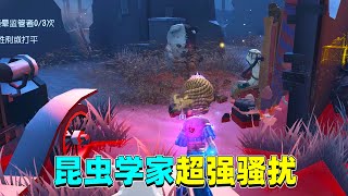 第五人格：医生智斗邦邦，昆虫学者辅助救人，监管无处震慑翻盘！