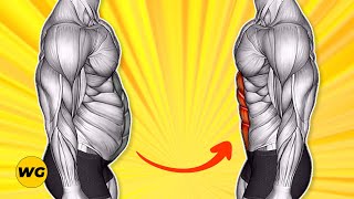 TOP 8 Exercises For A Flat Stomach For Men (Get A Flat Stomach At Home)