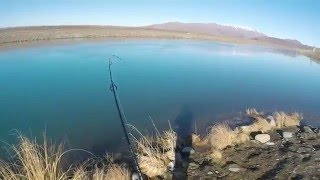 Fishing For Monster Rainbow Trout! New Zealand 大红鳟鱼王，新西兰，南岛