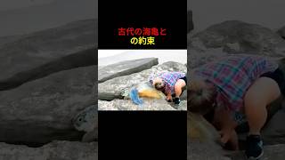 古代の海亀との約束...！🐢