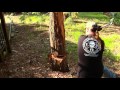 fiskars x11 axe chopping tree test