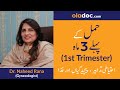 First Trimester of Pregnancy Tips (Urdu/Hindi) | Hamal ke pehle teen maah | Top Gynecologist | SM1