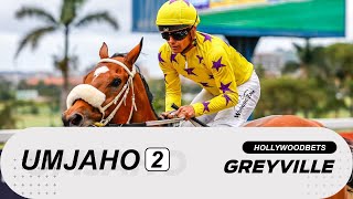 20241113 isiZulu Hollywoodbets Greyville Race 2 won by WAR EMPRESS