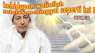 INILAH KEHIDUPAN WALIYULLAH SETELAH MENINGGAL - HABIB LUTHFI BIN YAHYA