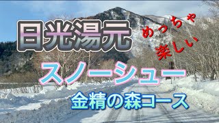 【栃木県日光市】スノーシュー　金精の森コースを歩いてみました。