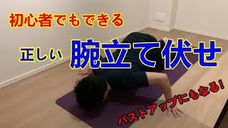 【バストアップトレーニング】初心者でもできる！家で簡単腕立て伏せ！【朝トレ】【初心者～上級者編】