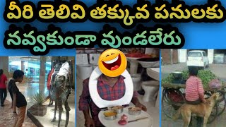 వీరి తెలివి తక్కువ పనులకు నవ్వాగదు కామెడీ  ఫన్నీ /Comedy Fun Video Joke Funny Video Halorious