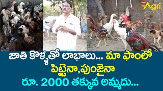 Integrated Poultry Farming in Telugu | మా ఫాంలో పెట్టైనా, పుంజైనా రూ.2000 తక్కువ అమ్మదు..! Tone Agri