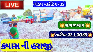 ગોંડલ કપાસના ભાવ / આજના કપાસના બજાર ભાવ /નવા કપાસના બજાર ભાવ /ગોંડલ માર્કેટિંગ યાર્ડ / 21.1.2025