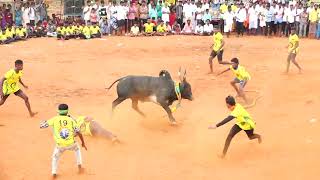 இறுதிவரை கடுமையான போராட்டம் வண்டவாசி அழகுபாண்டி ரோஜா காளை Vs அரசனூர் நொண்டிச்சாமி குழு