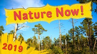 Nature Now! - Wildlife, Nature Ecology!