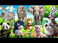 Wild Animal Sounds: Horse, Cow, Duck, Dog, Hen, Cat, Elephant,... | Animal Moments