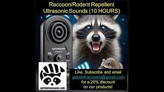 Ultrasonic Sounds to Ward off Raccoons and Rodents! 10 HOURS!