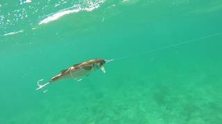 How Lures Swim: Live Target Mullet