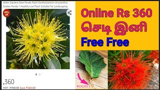 Online Rs 360 செடி இனி free, 1 இலை இருந்தால் செடி Free Free