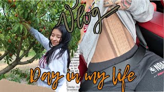 VLOG: Post Op 5 weeks and spend the day with me!
