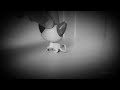 lps mapleshade howl music video