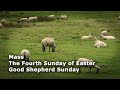 Mass - The Fourth Sunday of Easter / Good Shepherd Sunday