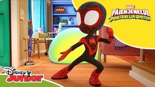 🏴‍☠️ Pe drumul comorilor | Păienjenelul Marvel și prietenii lui uimitori | Disney Junior România