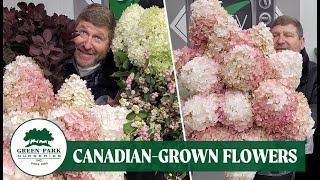 JFTV: New! Canadian-Grown Flowers from Green Park Nurseries with Mike